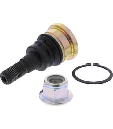 BALLJOINT LOWER POL RZR MSE