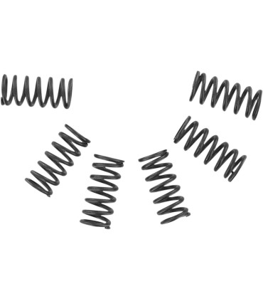 CLUTCH SPRING SET CSK