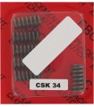 CLUTCH SPRING SET CSK