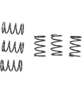 CLUTCH SPRING SET CSK