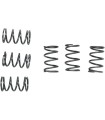 CLUTCH SPRING SET CSK