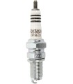 bougieSPARK PLUG NGK IRIDIUM