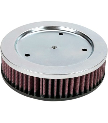 AIR FIL SCR.EAG.29055-89