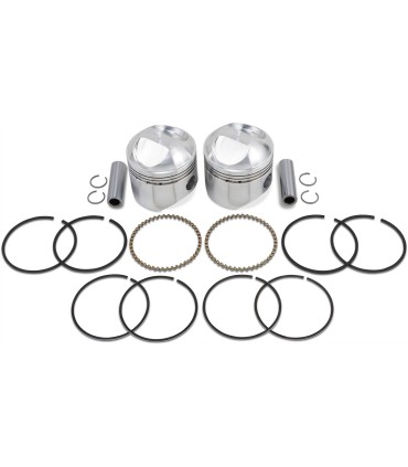 PISTON KIT .010 48-80 BT