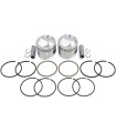 PISTON KIT .010 48-80 BT