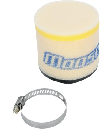 AIR FLTR AC 250/300 98-00