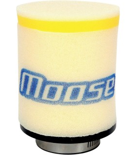 AIR FLTR TRX125/200 86-88