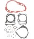 GASKETS COMP DVX/LTZ/KFX