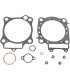 TE GASKET CRF450 02-03