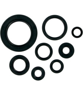 MSE MTR SEALS CR250/500