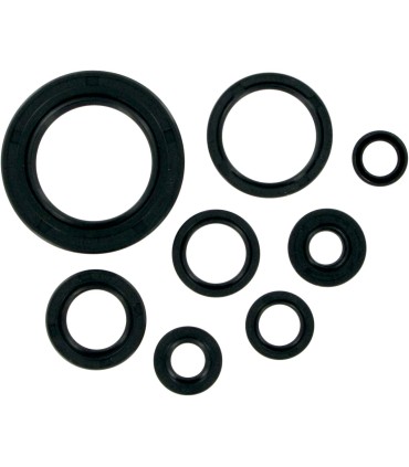 MSE MTR SEALS CR250/500