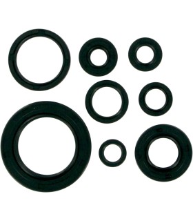 MSE MTR SEALS CR250'92-01
