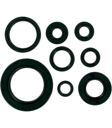 MSE MTR SEALS CR250'92-01