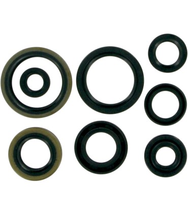 MSE MTR SEALS RM125 98-