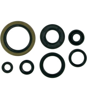MSE MTR SEALS RM250'89-93