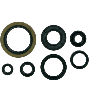 MSE MTR SEALS RM250'89-93