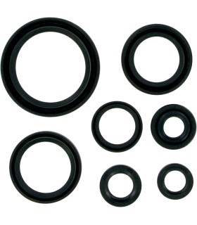 MSE MTR SEALS RM250 96-02