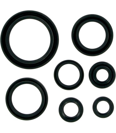 MSE MTR SEALS RM250 96-02