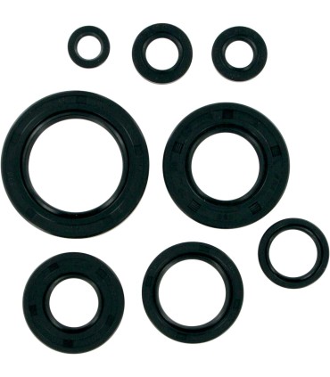 MTR SEALS ATC/TRX 250