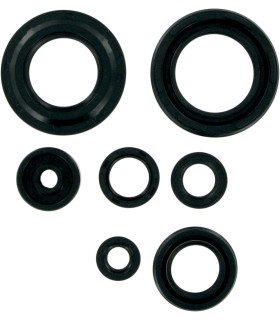MSE MTR SEALS YFZ350