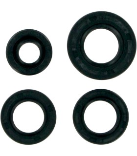 MSE MTR SEALS XR80 '79-