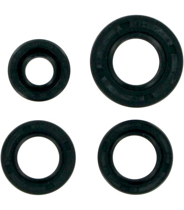 MSE MTR SEALS XR80 '79-