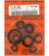 SEAL-KIT OIL-YZF/WR250
