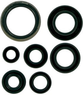 MSE MTR SEALS RM85 02