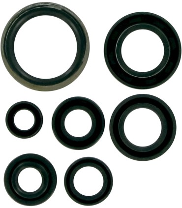 MSE MTR SEALS RM85 02