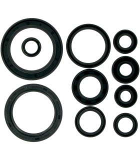 MSE MTR SEALS CRF450 02