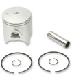 PISTON KIT YZ250/WR250R