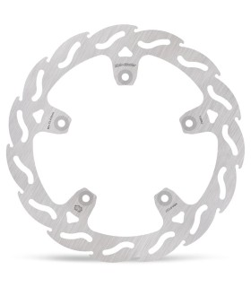 BRAKE DISC FLAME REAR