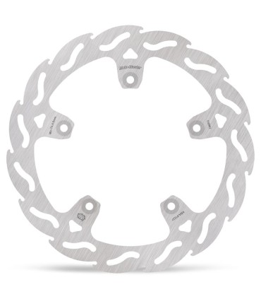 BRAKE DISC FLAME REAR