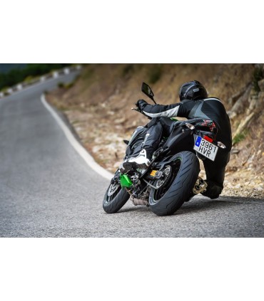 DBL RO3 F 120/60ZR17 (55W) TL