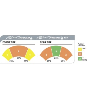 PROAD4R GT 190/55ZR17 (75W) TL