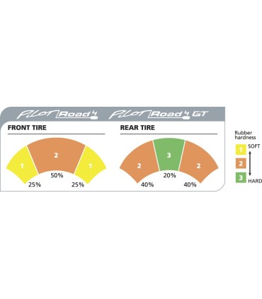 PROAD4R GT 190/55ZR17 (75W) TL