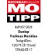 MERIDIAN 150/70R17 69V TL