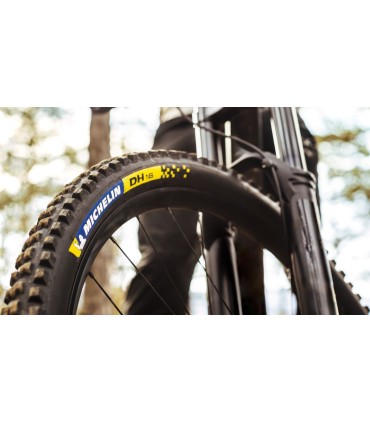 DH16 RACING 29X2.40