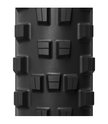 E-WILD RACING 29X2.40 FR