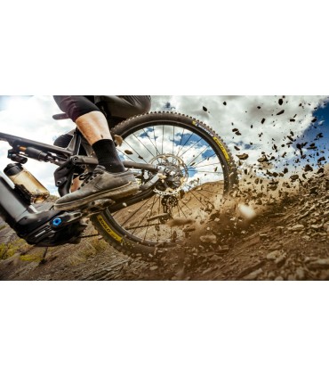 E-WILD RACING 29X2.60 RR