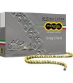 CHAIN 530DR GB 160C+RS