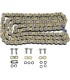 CHAIN 520ZSE GB 120C+RS+RH