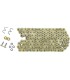 CHAIN 525HPE GG 110RS