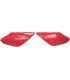 PANELS SIDE HND XR100 RED