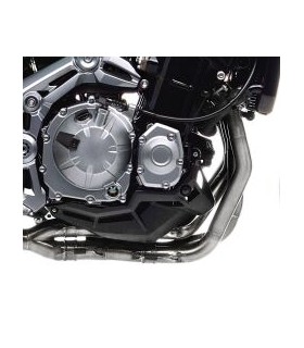 HEADER Z900