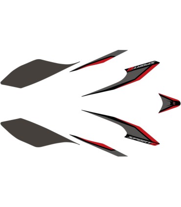 DECAL KIT FORZA 125/300