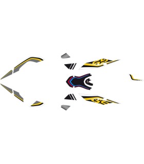 DECAL KIT BMW F800GS 2013