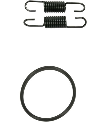 SPRING/ORING KIT RM125