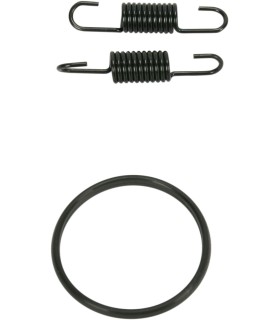 SPRING/ORING KIT RM250