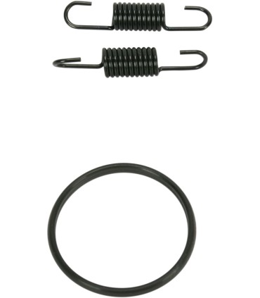 SPRING/ORING KIT RM250